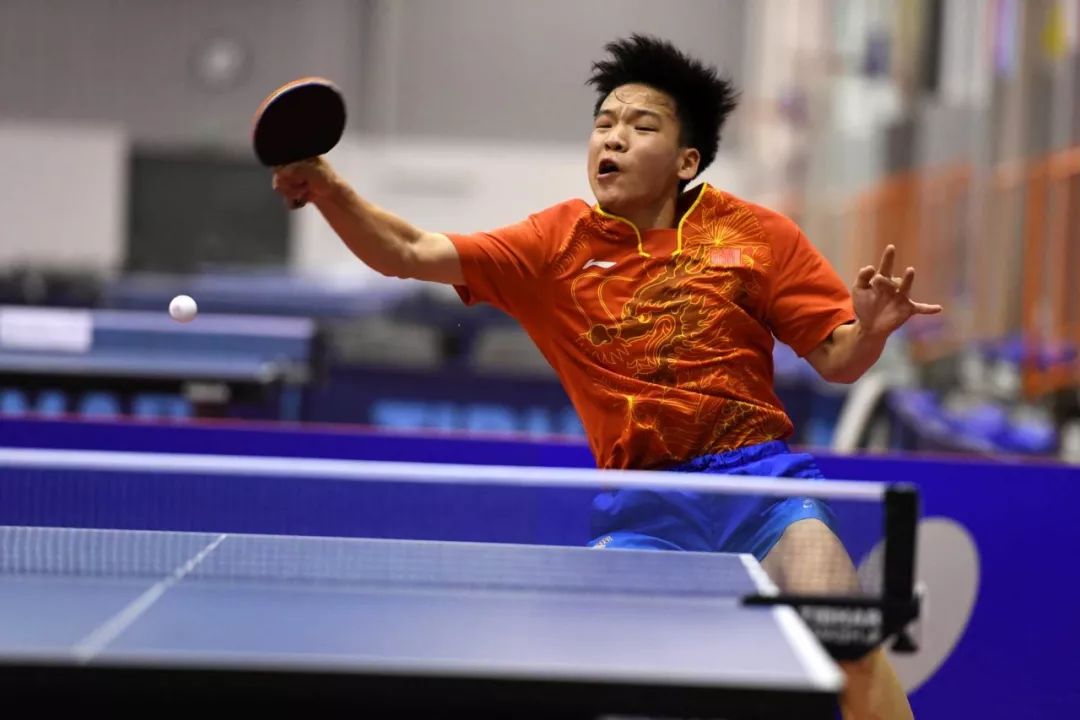 数几乎是对 数几乎是对