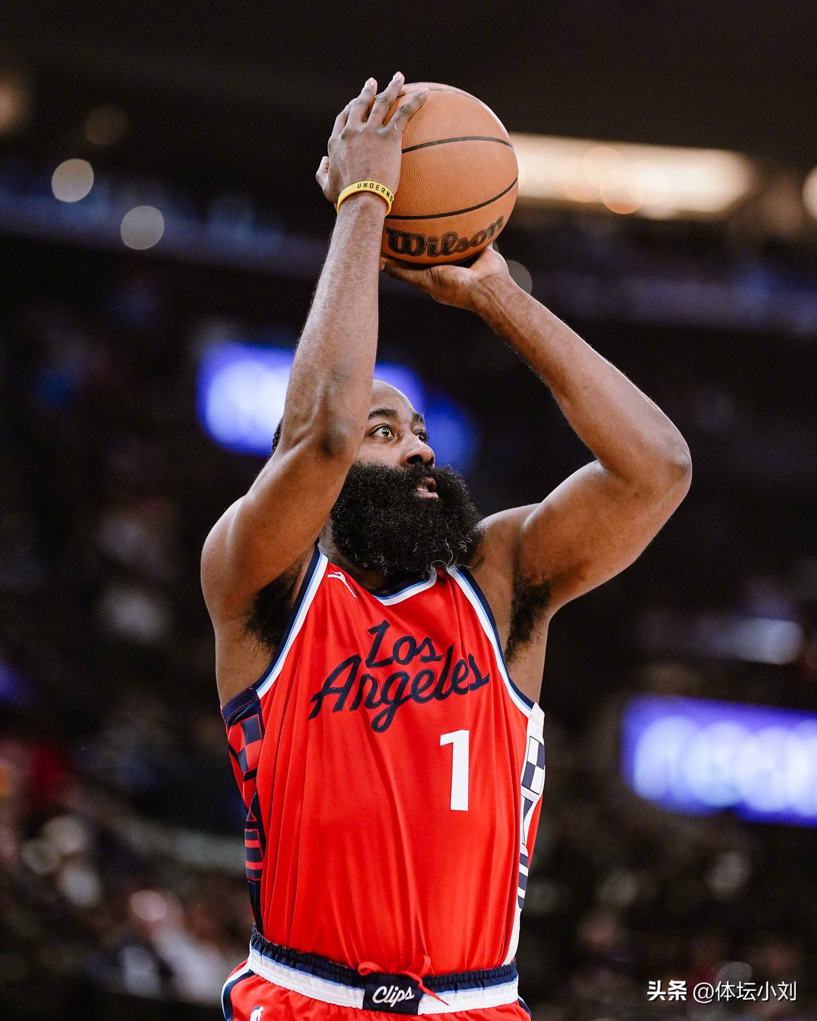 回测表明 回测表明